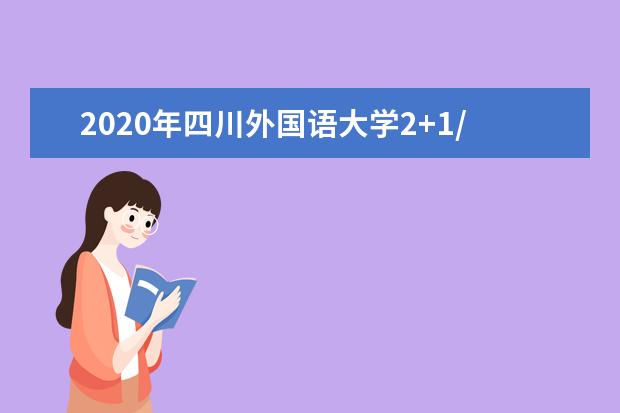 2020年四川外国语大学2+1/2+2/3+1国际商科专业招生简章