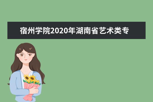 宿州学院2020年湖南省艺术类专业录取说明