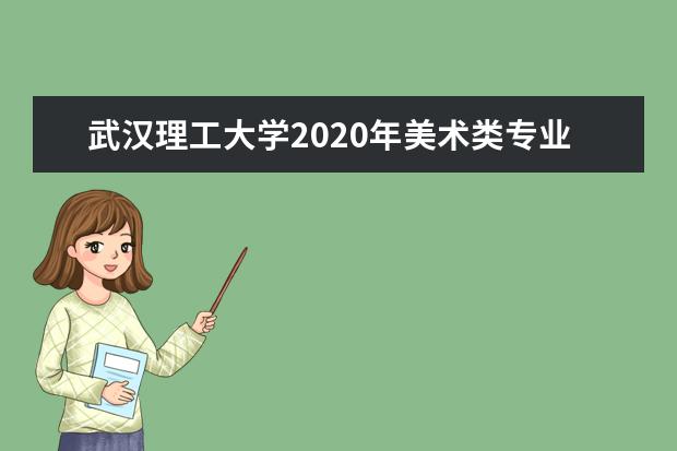 武汉理工大学2020年美术类专业招生计划