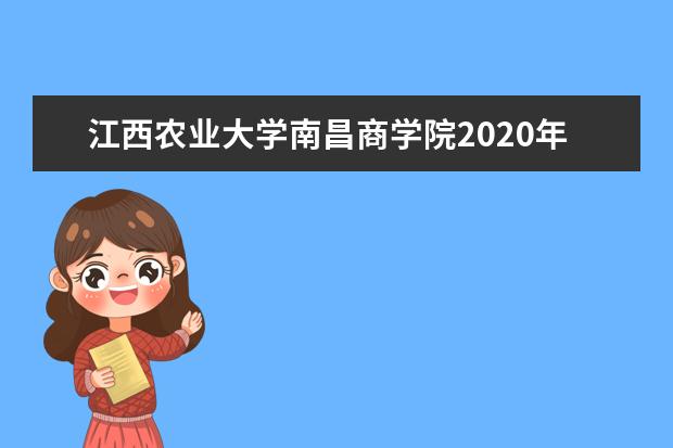 江西农业大学南昌商学院2020年美术类专业招生计划