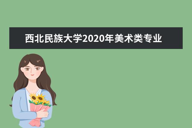 西北民族大学2020年美术类专业招生计划