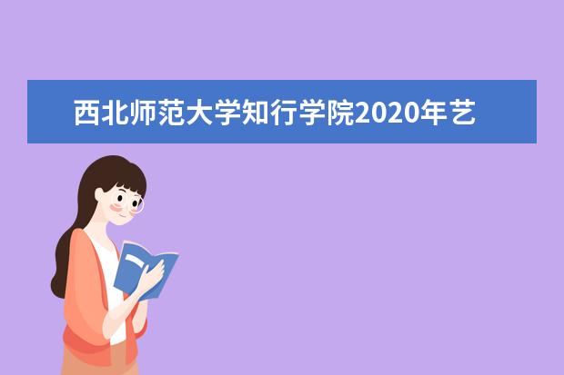 西北师范大学知行学院2020年艺术类专业招生计划