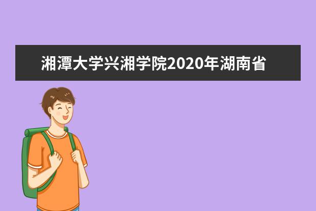 湘潭大学兴湘学院2020年湖南省动画专业录取分数线