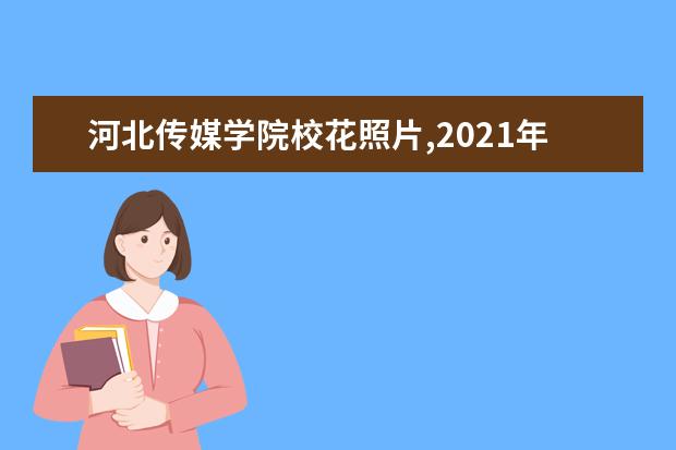 河北传媒学院校花照片,2021年河北传媒学院校花是谁(多图)