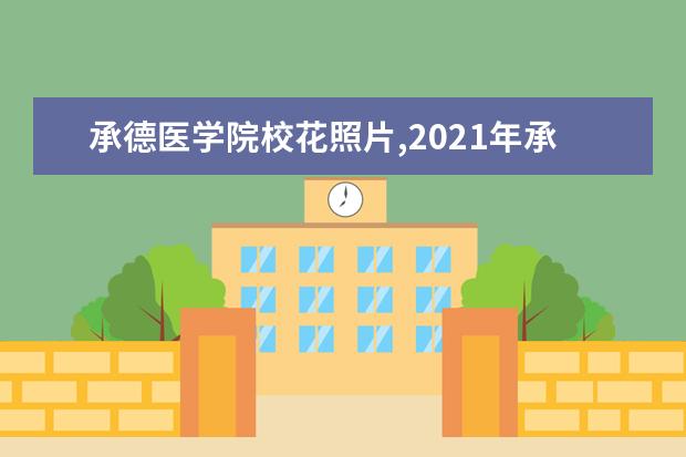 承德医学院校花照片,2021年承德医学院校花是谁(多图)