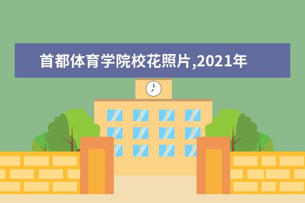 首都体育学院校花照片,2021年首都体育学院校花是谁(多图)