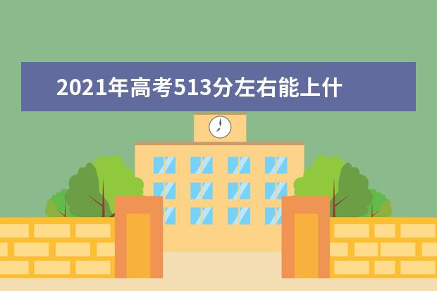 2021年高考513分左右能上什么大学(100所)