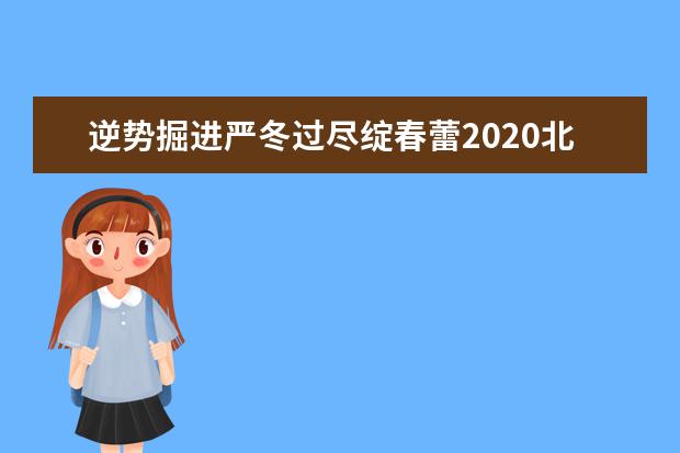 逆势掘进严冬过尽绽春蕾2020北京航空航天大学等你