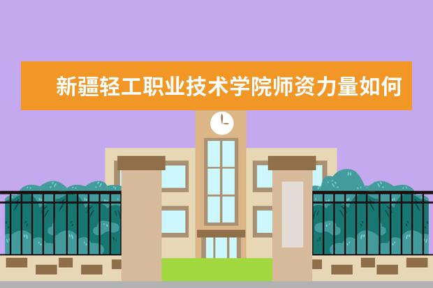 新疆轻工职业技术学院师资力量如何 师资水平怎么样