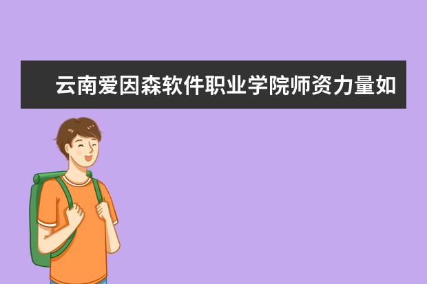 云南爱因森软件职业学院学费多少一年 云南爱因森软件职业学院收费高吗