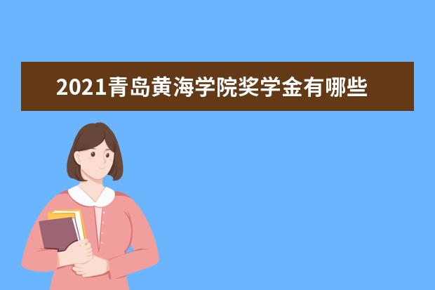 青岛黄海学院专业设置如何 青岛黄海学院重点学科名单