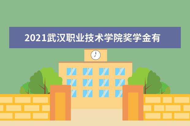 2021武汉职业技术学院奖学金有哪些 奖学金一般多少钱?