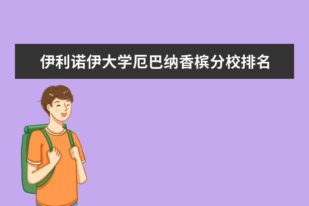 伊利诺伊大学厄巴纳香槟分校排名