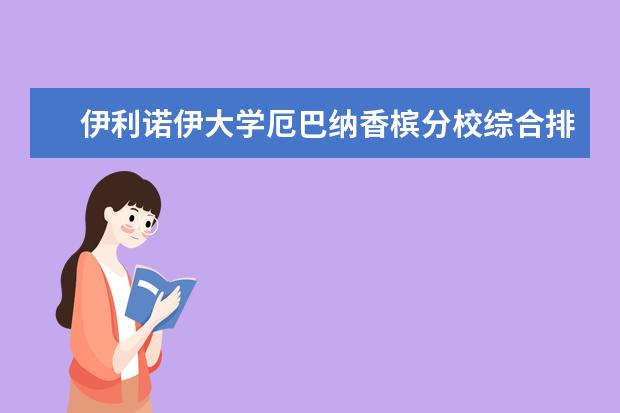 伊利诺伊大学厄巴纳香槟分校综合排名详解