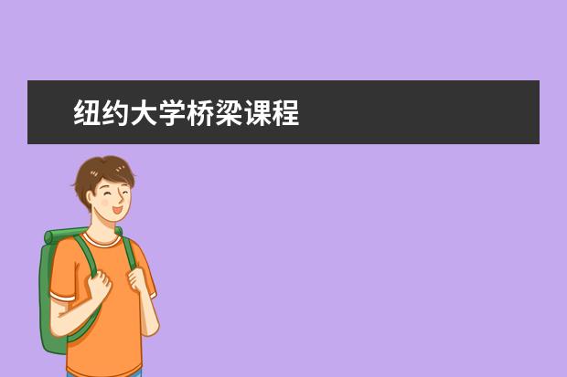 纽约大学桥梁课程