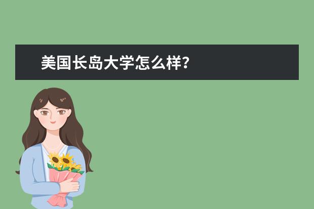 美国长岛大学怎么样？