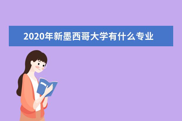 2020年新墨西哥大学有什么专业