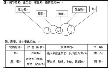 高考生物备考：酶和ATP