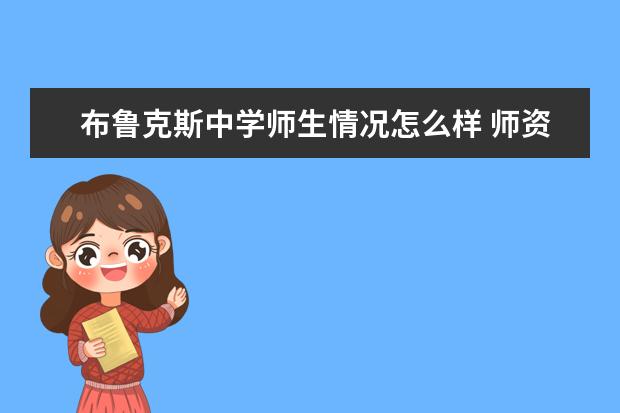 布鲁克斯中学师生情况怎么样 师资力量如何