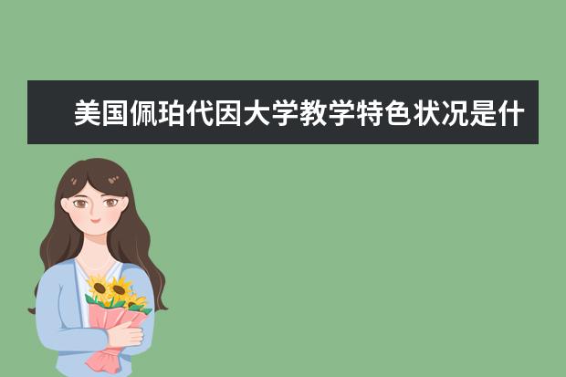 美国佩珀代因大学教学特色状况是什么？