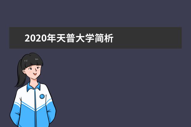 2020年天普大学简析