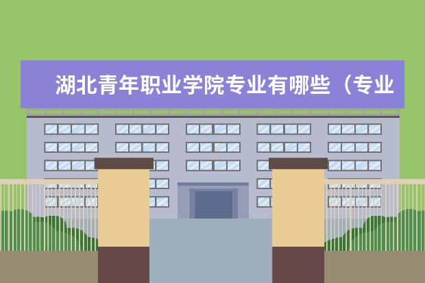 湖北青年职业学院奖学金设置标准是什么？奖学金多少钱？