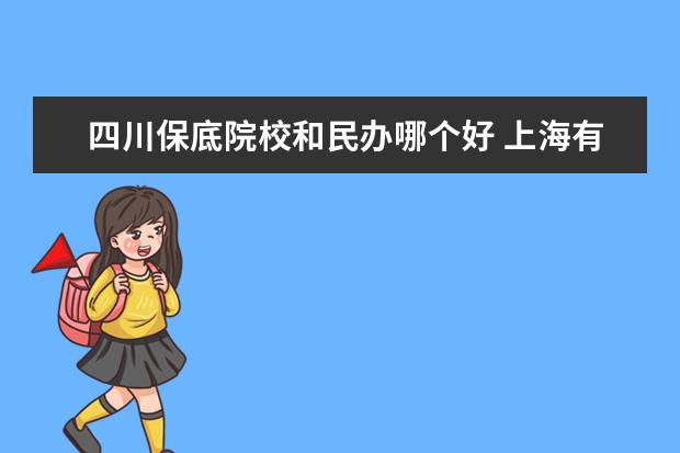 四川保底院校和民办哪个好 上海有什么好一点的民办美术中学,想让孩子学艺术,因...