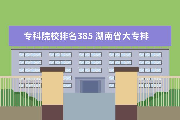 专科院校排名385 湖南省大专排名