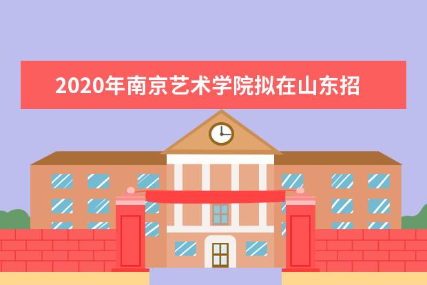 2020年南京艺术学院拟在山东招生普通高校专业（类）选考科目要求  怎么样