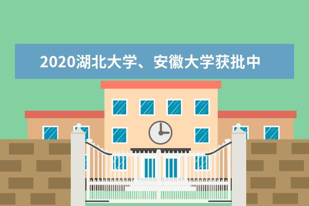 2020湖北大学、安徽大学获批中外合作办学机构  怎样