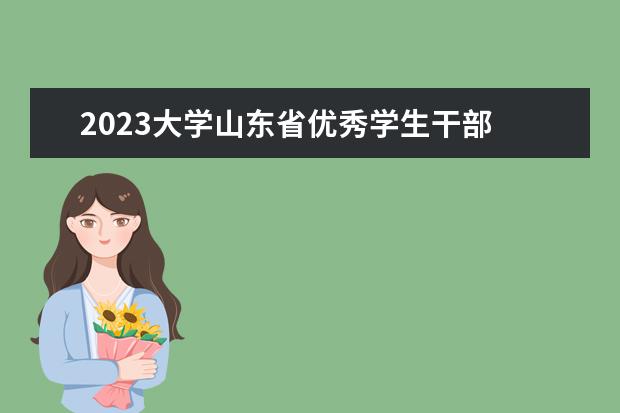 2023大学山东省优秀学生干部 大学生村官2023年报名时间