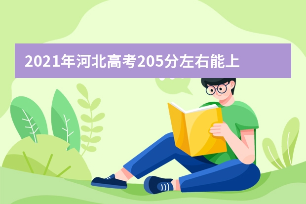 2021年河北高考205分左右能上什么样的大学