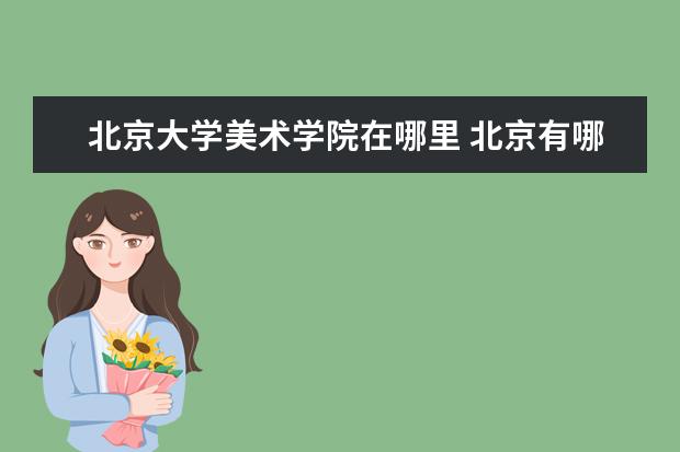 北京大学美术学院在哪里 北京有哪些本科的艺术类院校?