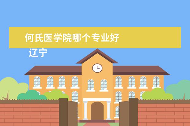 何氏医学院哪个专业好 
  辽宁何氏医学院专业