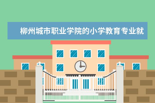 柳州城市职业学院的小学教育专业就业前景 柳州城市职业学院有什么专业?