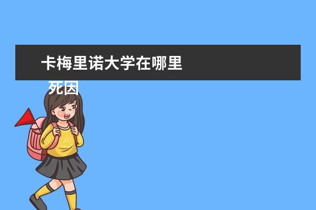 卡梅里诺大学在哪里 
  死因