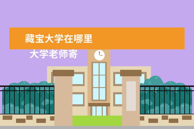 藏宝大学在哪里 
  大学老师寄语2